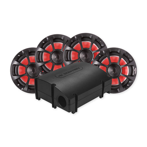 CK501