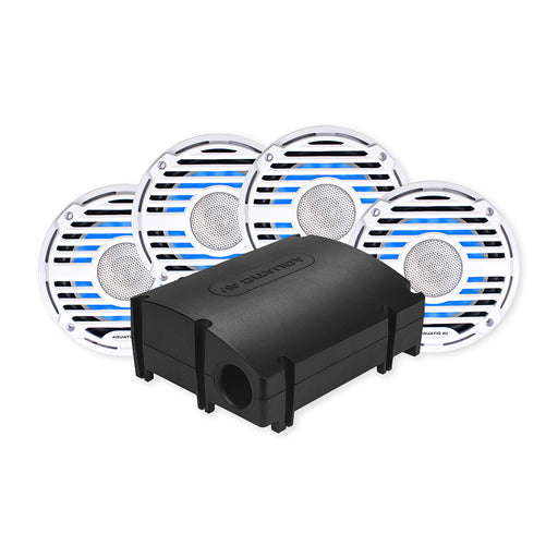 CK503